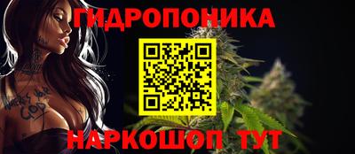 дмт Волгодонск