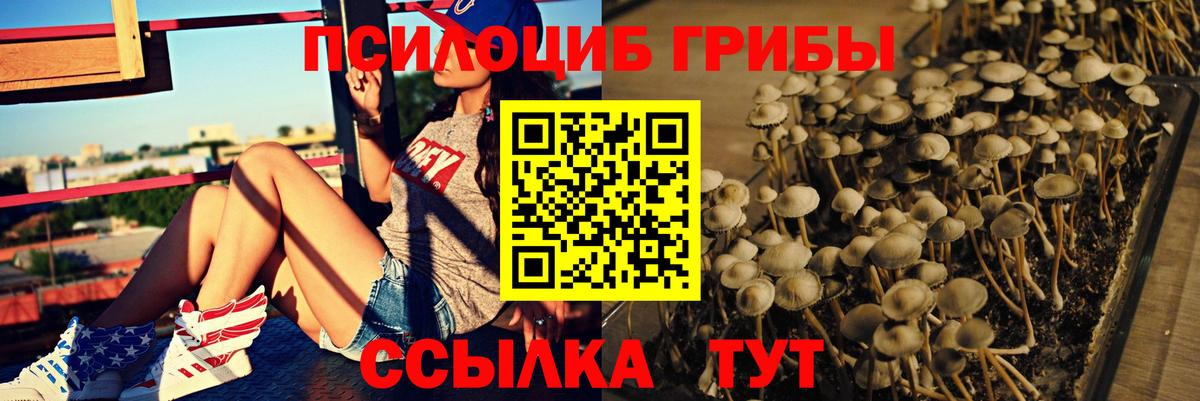 Галлюциногенные грибы Magic Shrooms Шахты